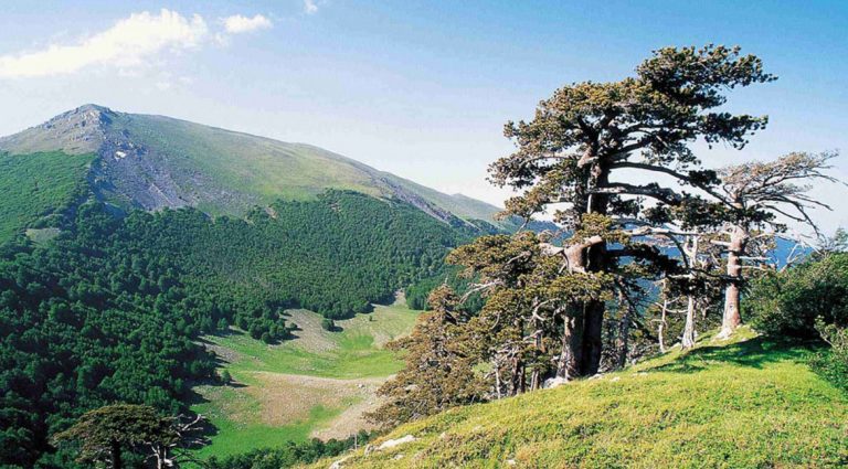 Speciale Parco Nazionale del Pollino