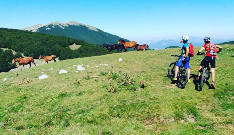 Alla scoperta del Parco in e-bike