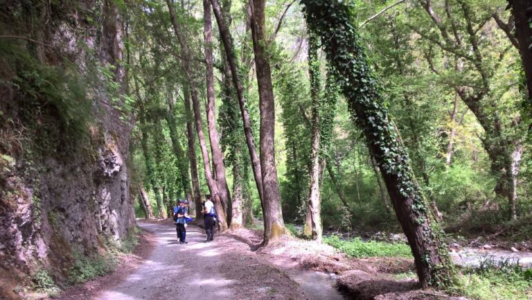 Campo Scuola Sportivamente Parco Plastic Free 3 giorni calabro- Sicilia