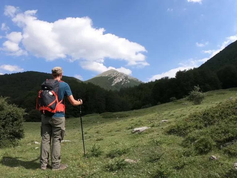 Pollino experience